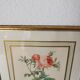 Golden frame botanical illustration