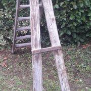 Artisan wooden ladder 6 steps