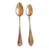 Set of 2 silver-plated metal spoons