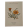 Botanical engraving 19th century naturalist poster French flower wine
