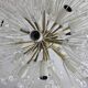 snowball, Dandelion, 17 lights, Emil Stejnar for Rupert Nikoll, Austria 50s