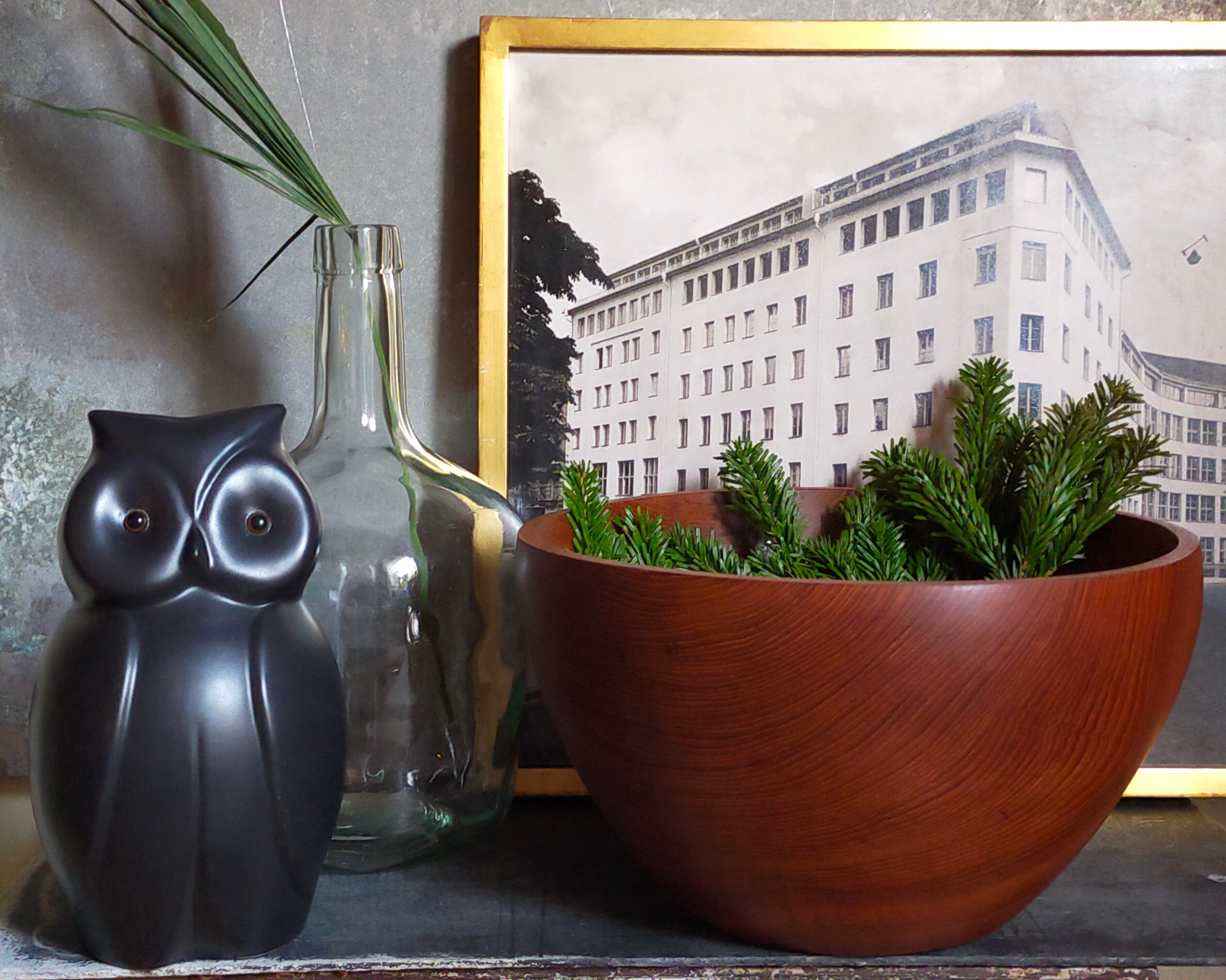 Scandinavian teak bowl xl