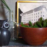 Scandinavian teak bowl xl
