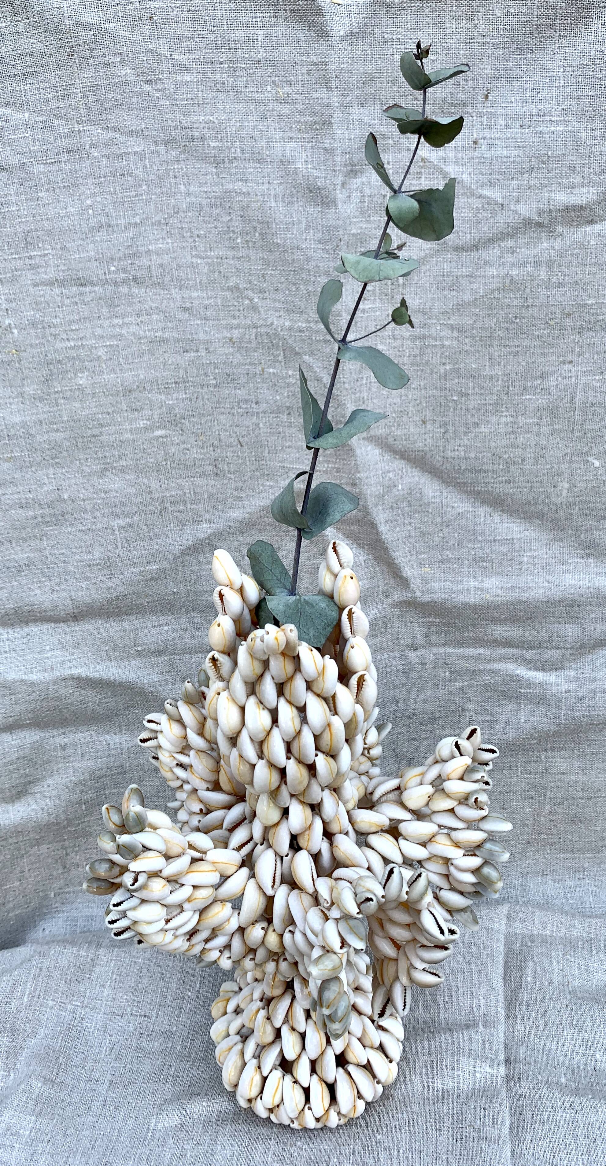 Vase in cursing shells