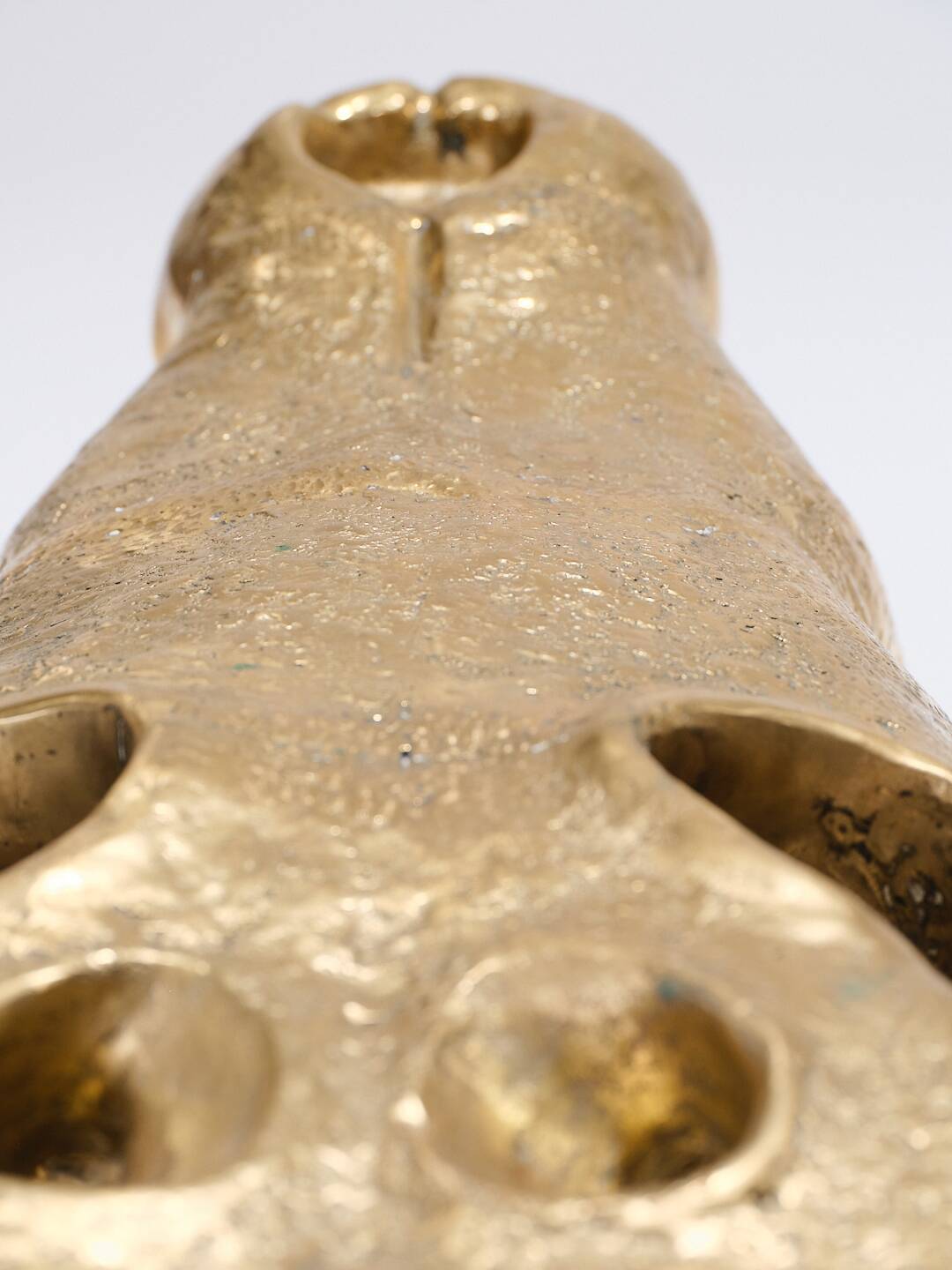 Large brass crocodile head