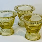 Glass cockroachs