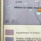 Vintage school map war in europe and the pacific mdi year 1975