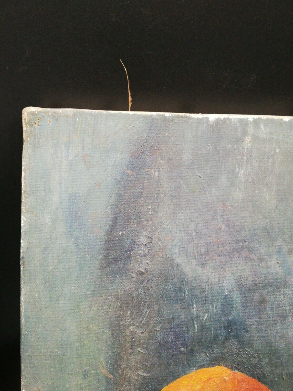 Oil on canvas still life XX