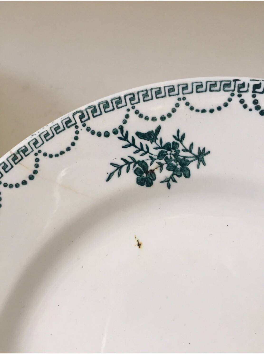 Suite assiettes Terre de Fer décor vert fleurettes St Amand