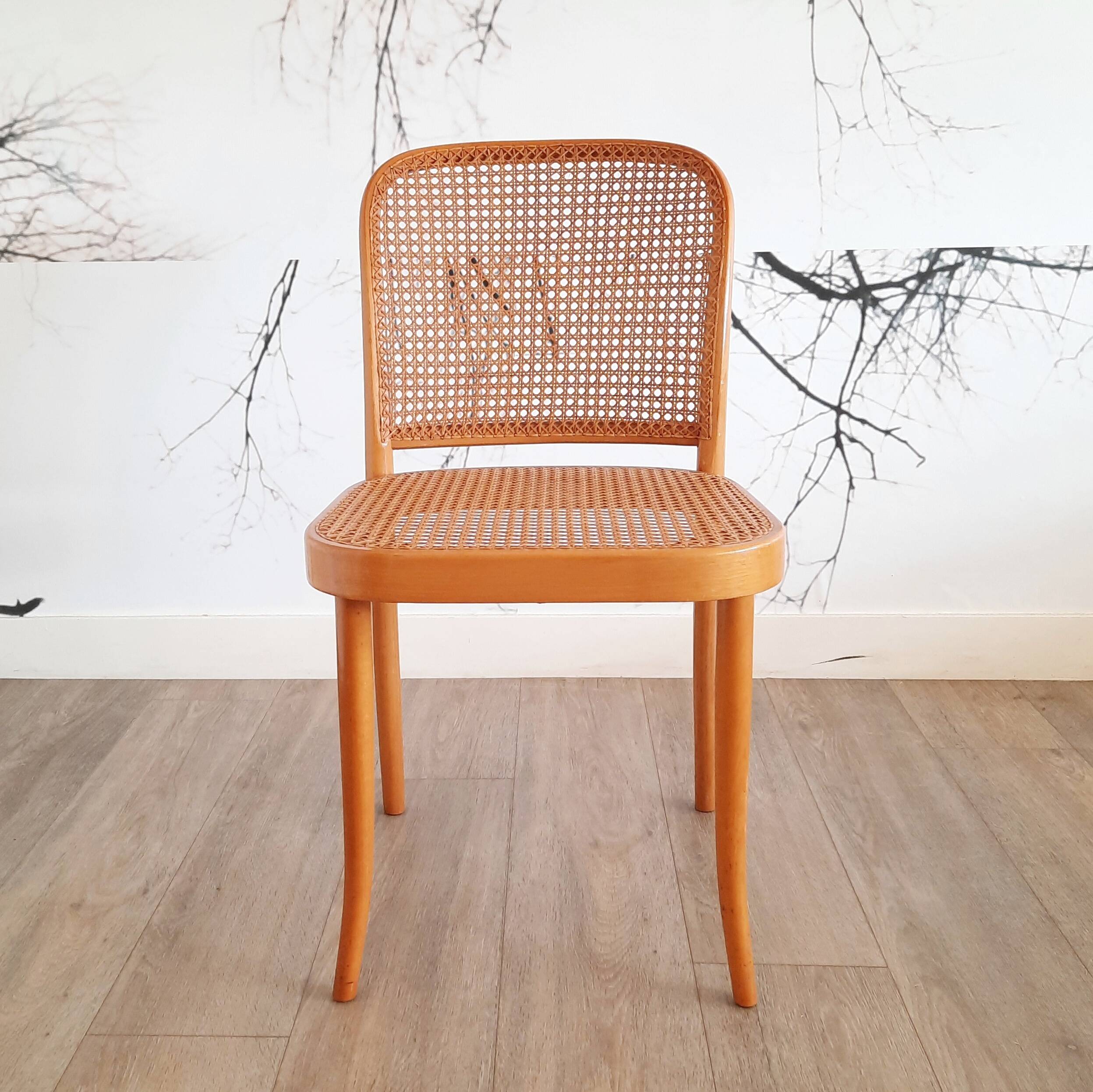 Suite de 4 chaises blondes Prague ou 811, Ligna, 1970