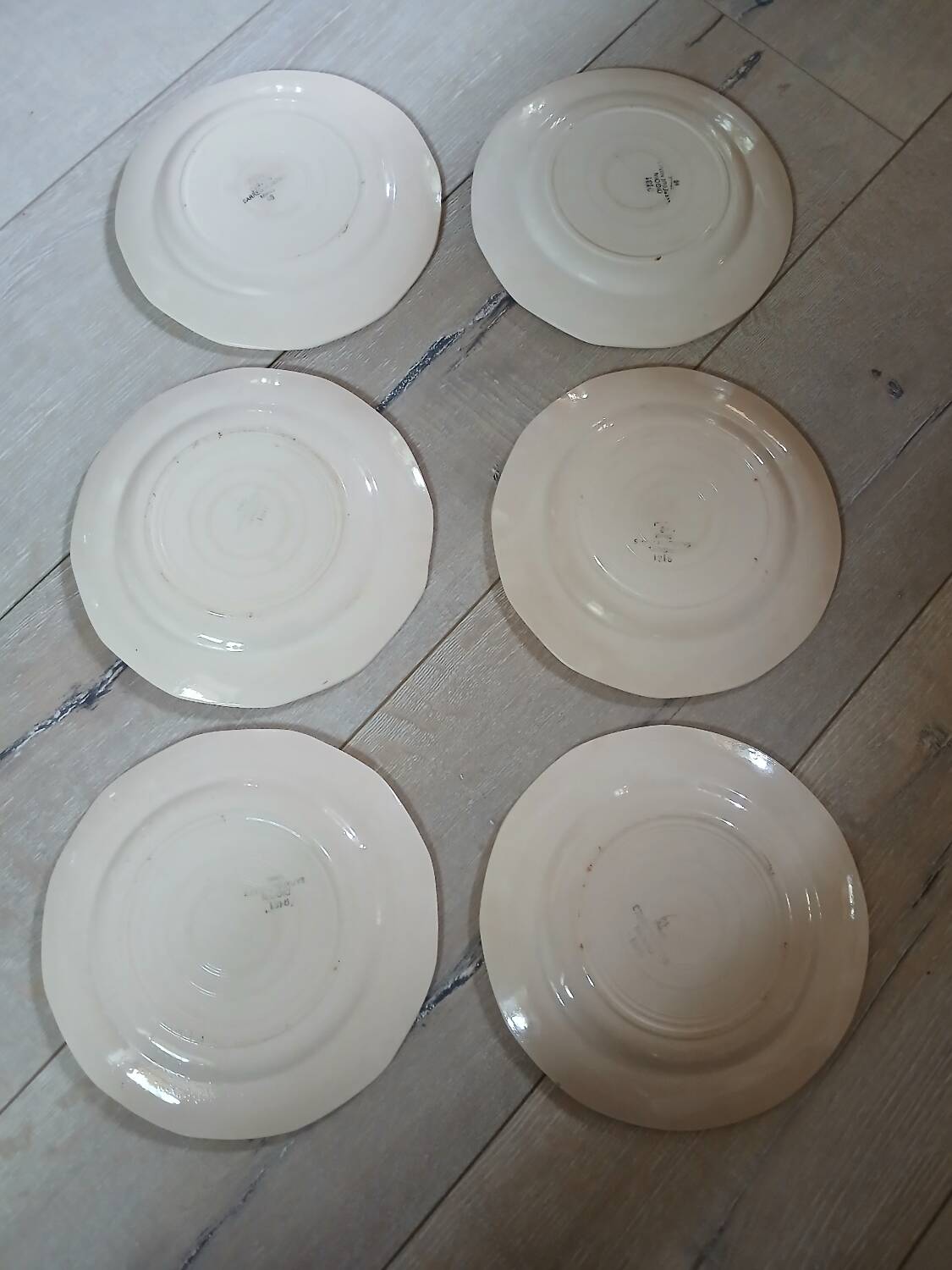 6 Digoin and Sarreguemines dessert plates