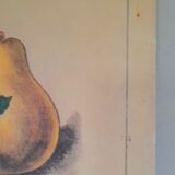 Deyrolles poster 'jams'