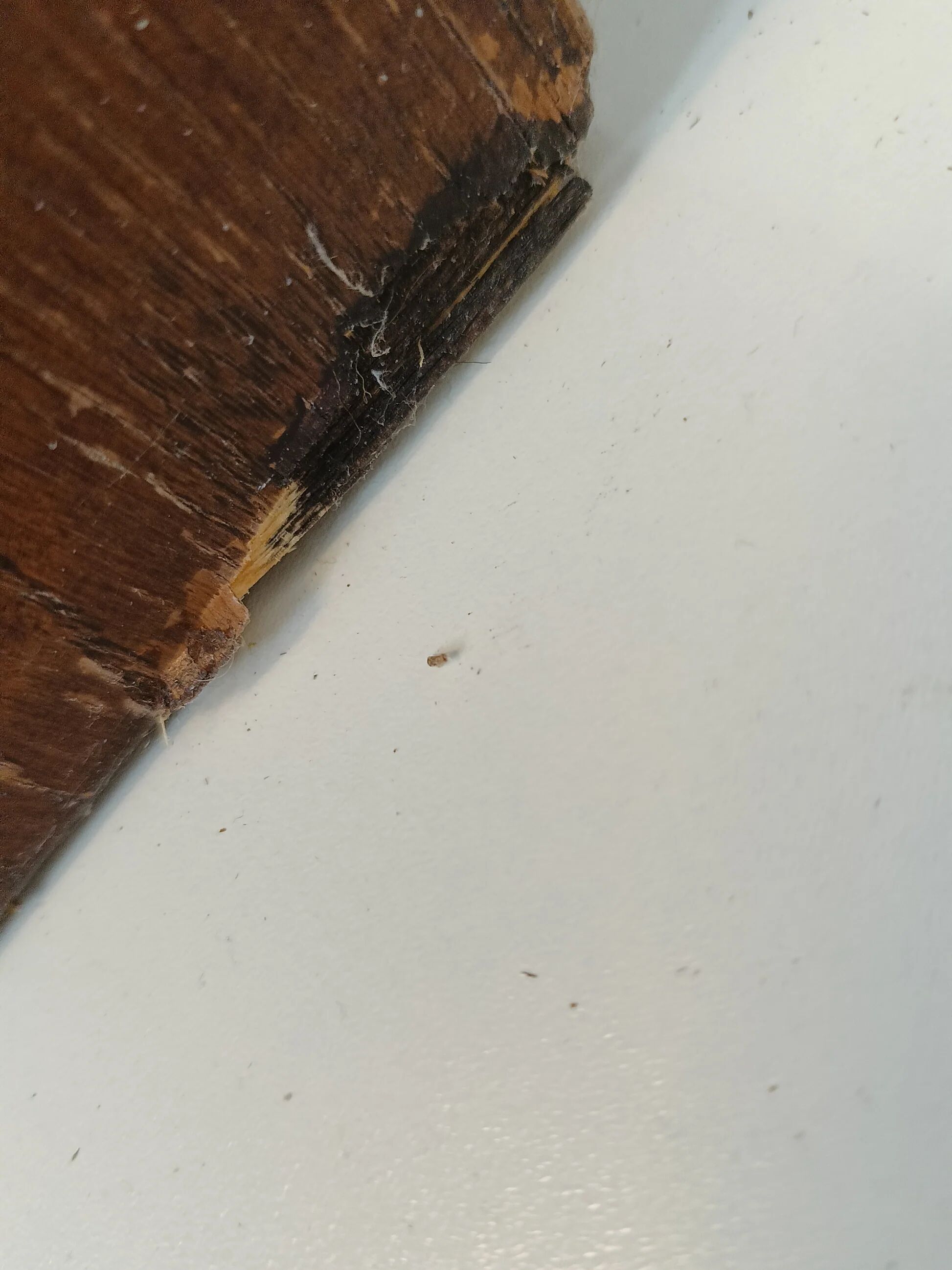 English display mahogany cabinet around 1910