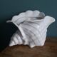Ceramic conch shell, plant pot or trinket dish.