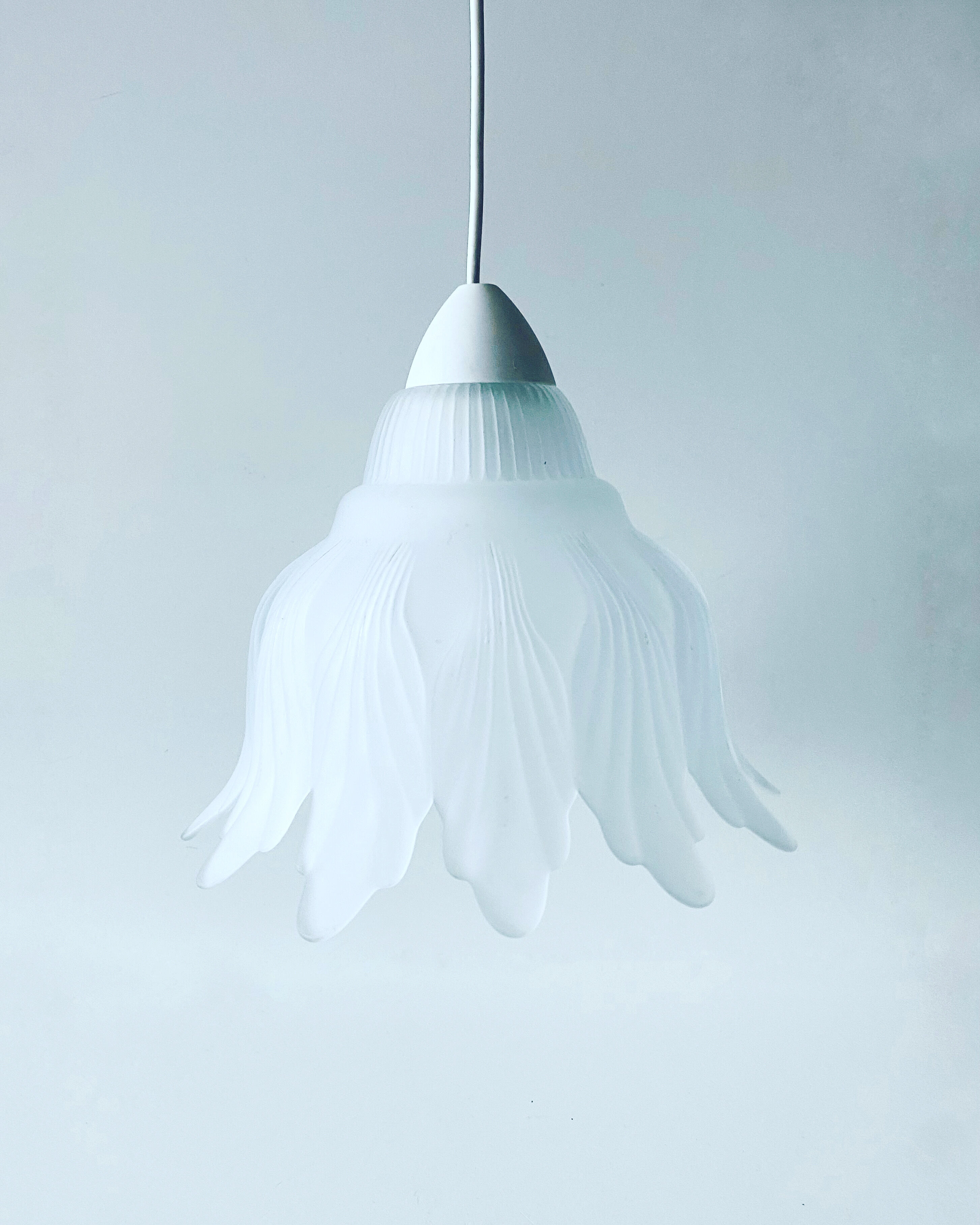 Glass vegetable hanging lamp