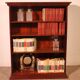 19th Century Mahogany Open Bookcase - England