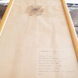 Herbarium boards late 19th