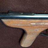 Eureka Hen Shooting Game