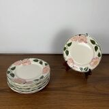 Set of 9 Villeroy & Boch "Wild Rose" dessert plates, 1970