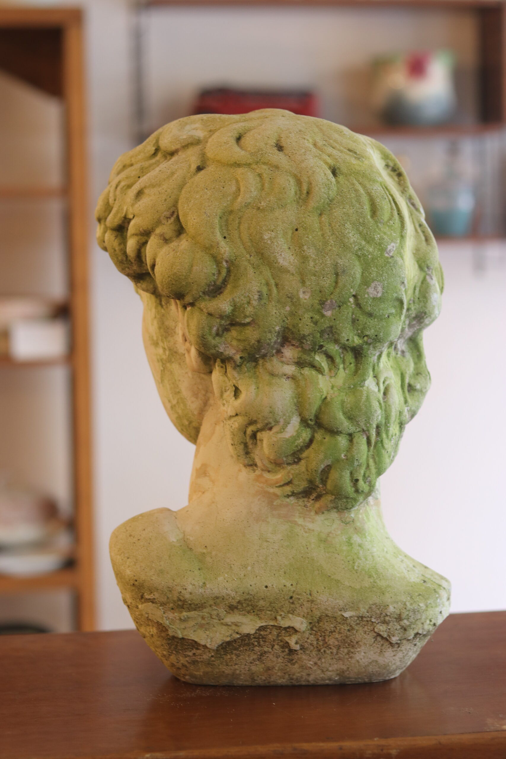 Bust of David in concrete – mid 20th century