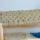 Lemon tree wood bench and braided palm leaf