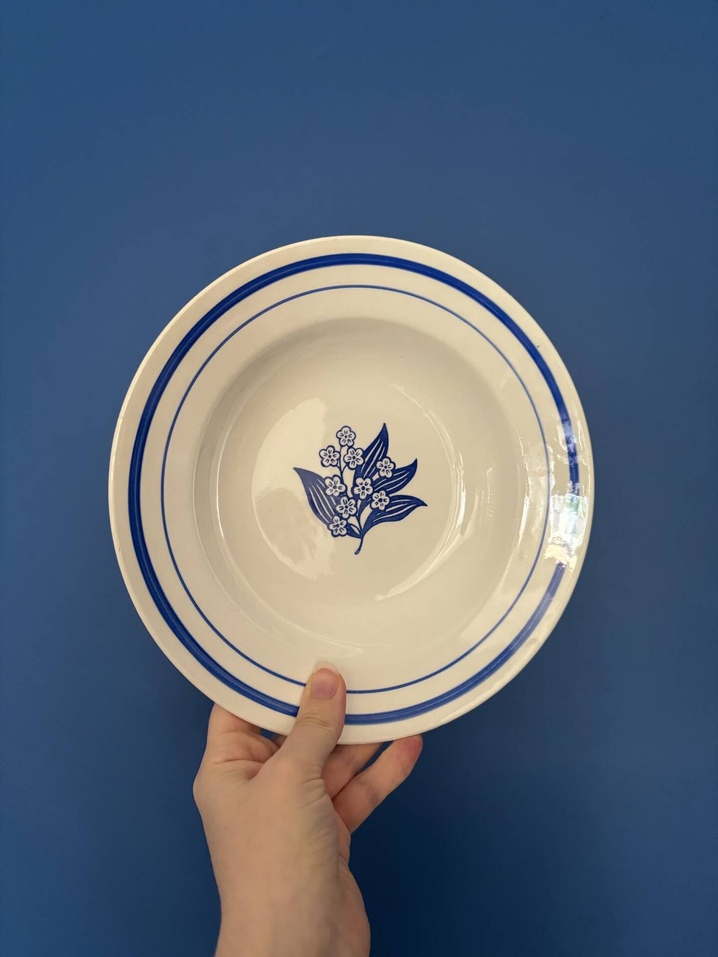 Set of 6 vintage deep plates in earthenware with blue lily of the valley flowers.