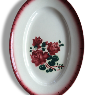 Flat oval flowered