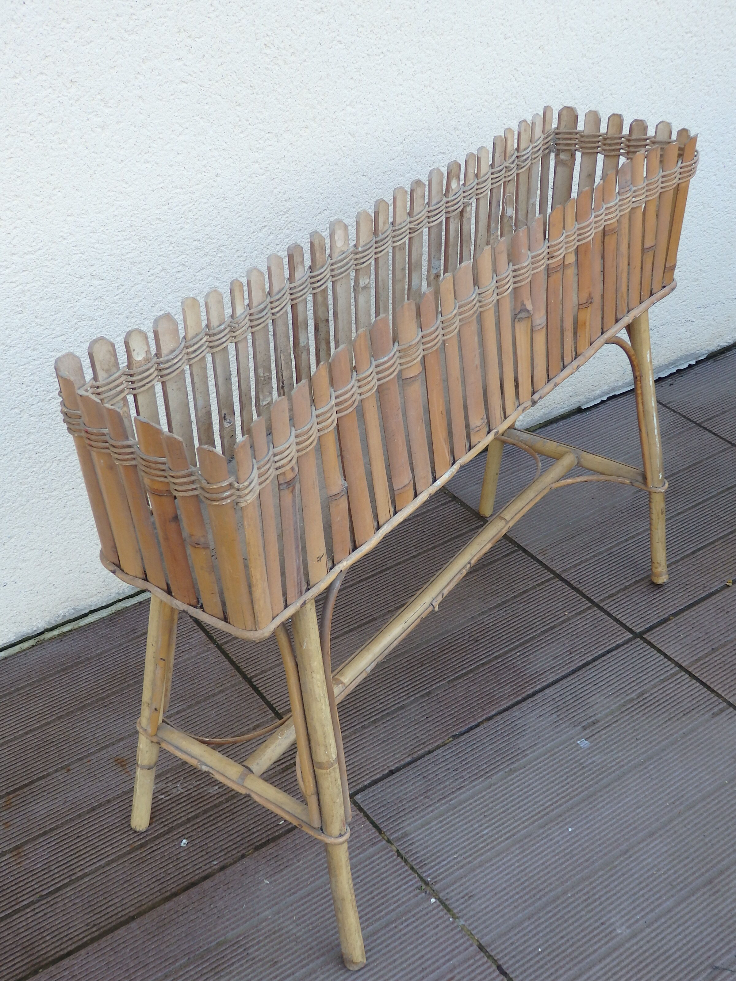 Vintage rot root plant door