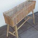 Vintage rot root plant door