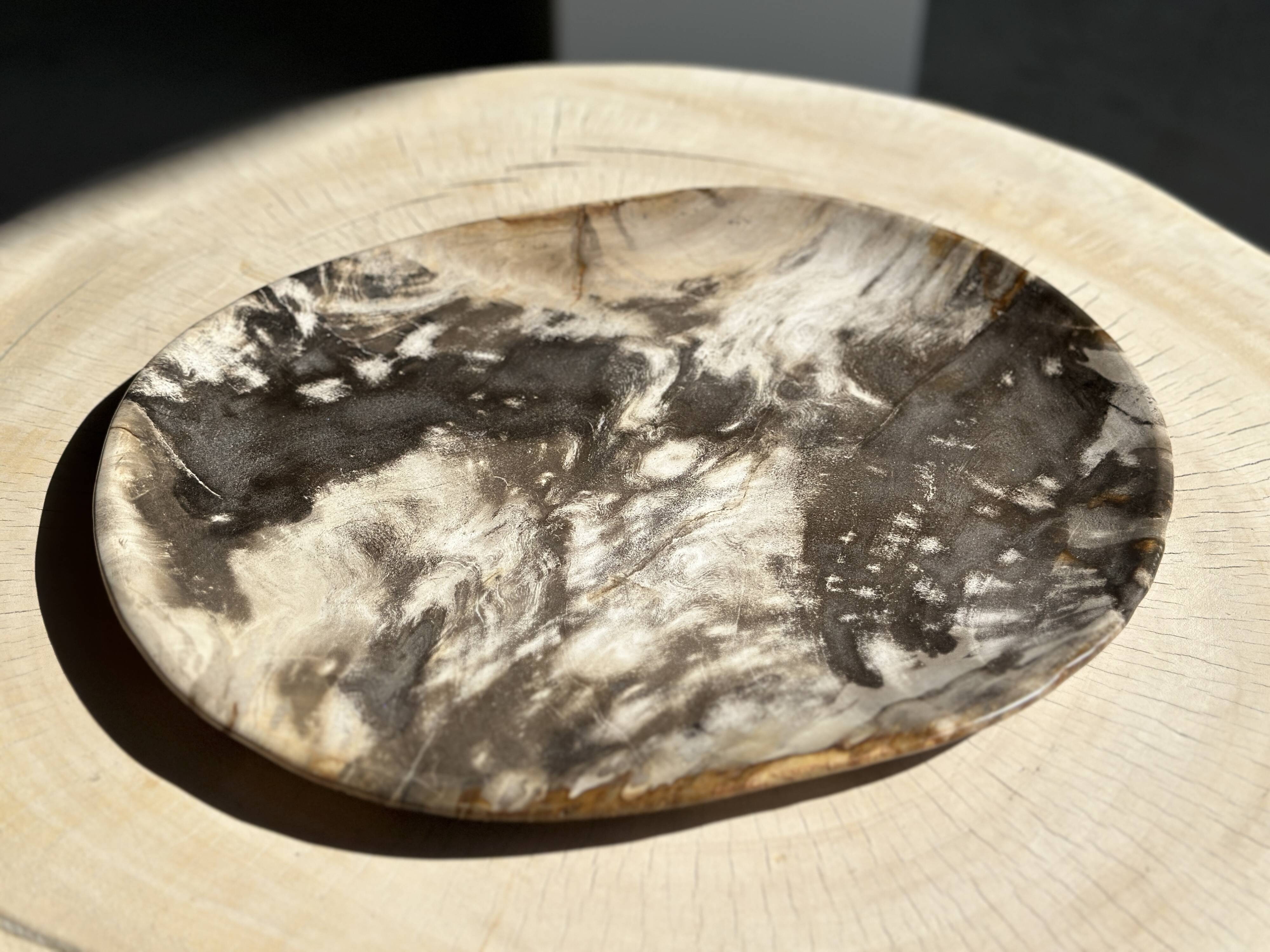 Very large pocket or dish in petrified wood