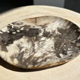 Very large pocket or dish in petrified wood