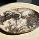 Very large pocket or dish in petrified wood