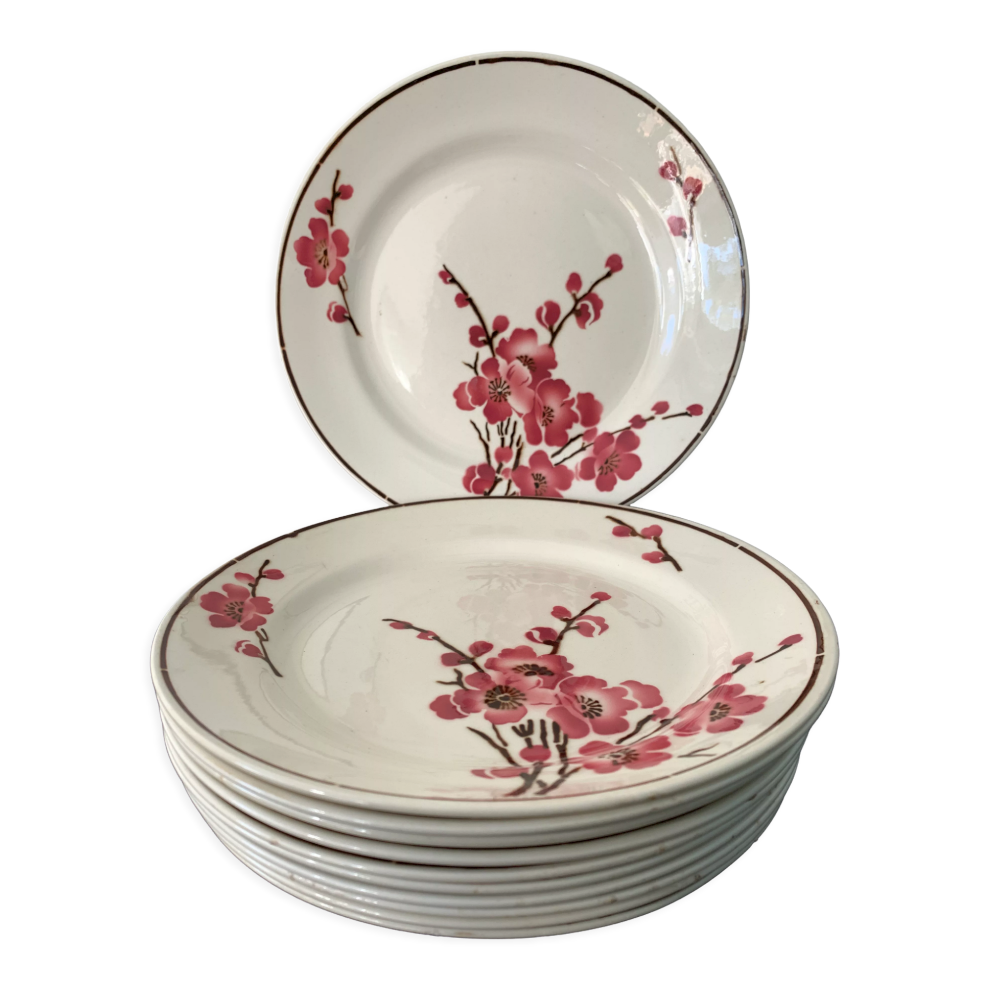 11 dessert plates Saint Amand Terre de Fer, 1930