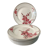 11 dessert plates Saint Amand Terre de Fer, 1930