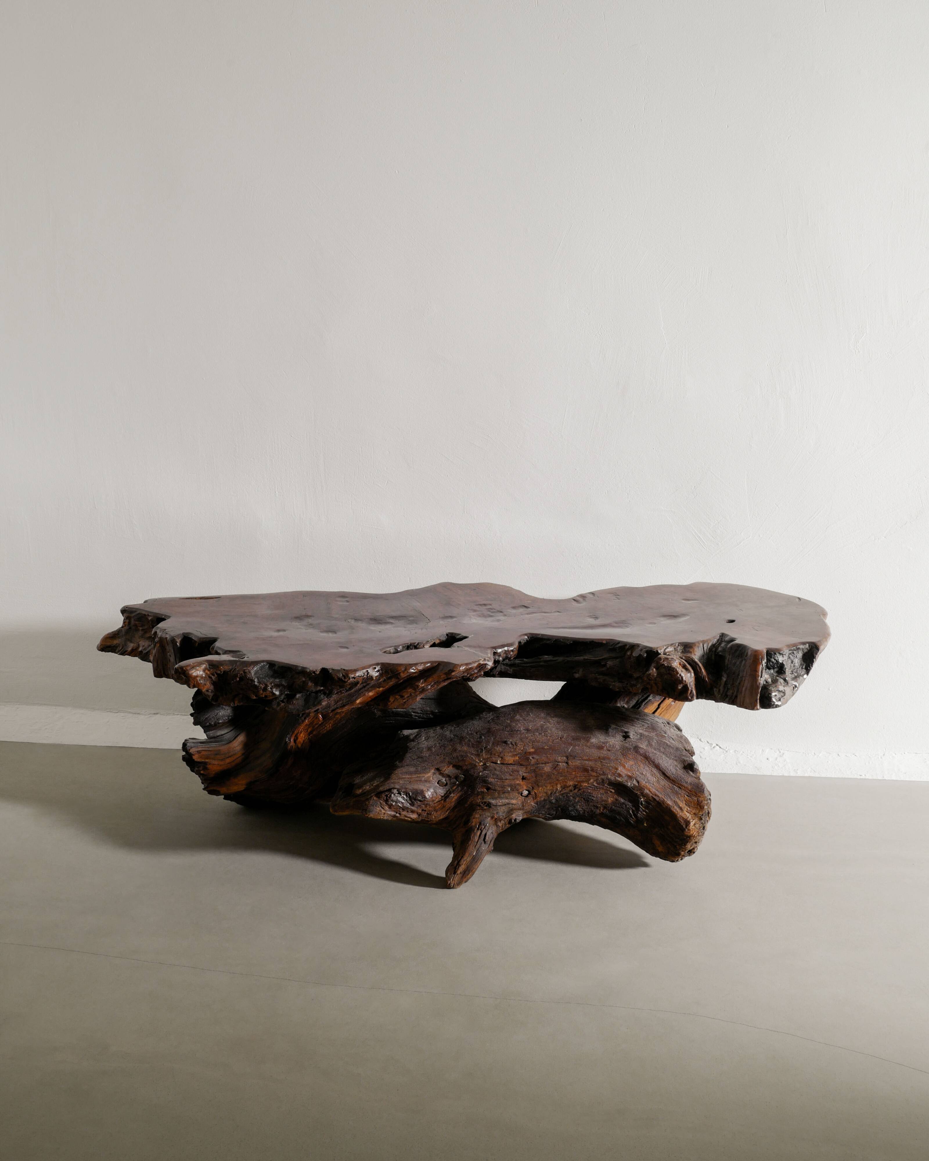 French Brutalist Sculptural Free Form Wooden Root Sofa Coffee Table, 1960s