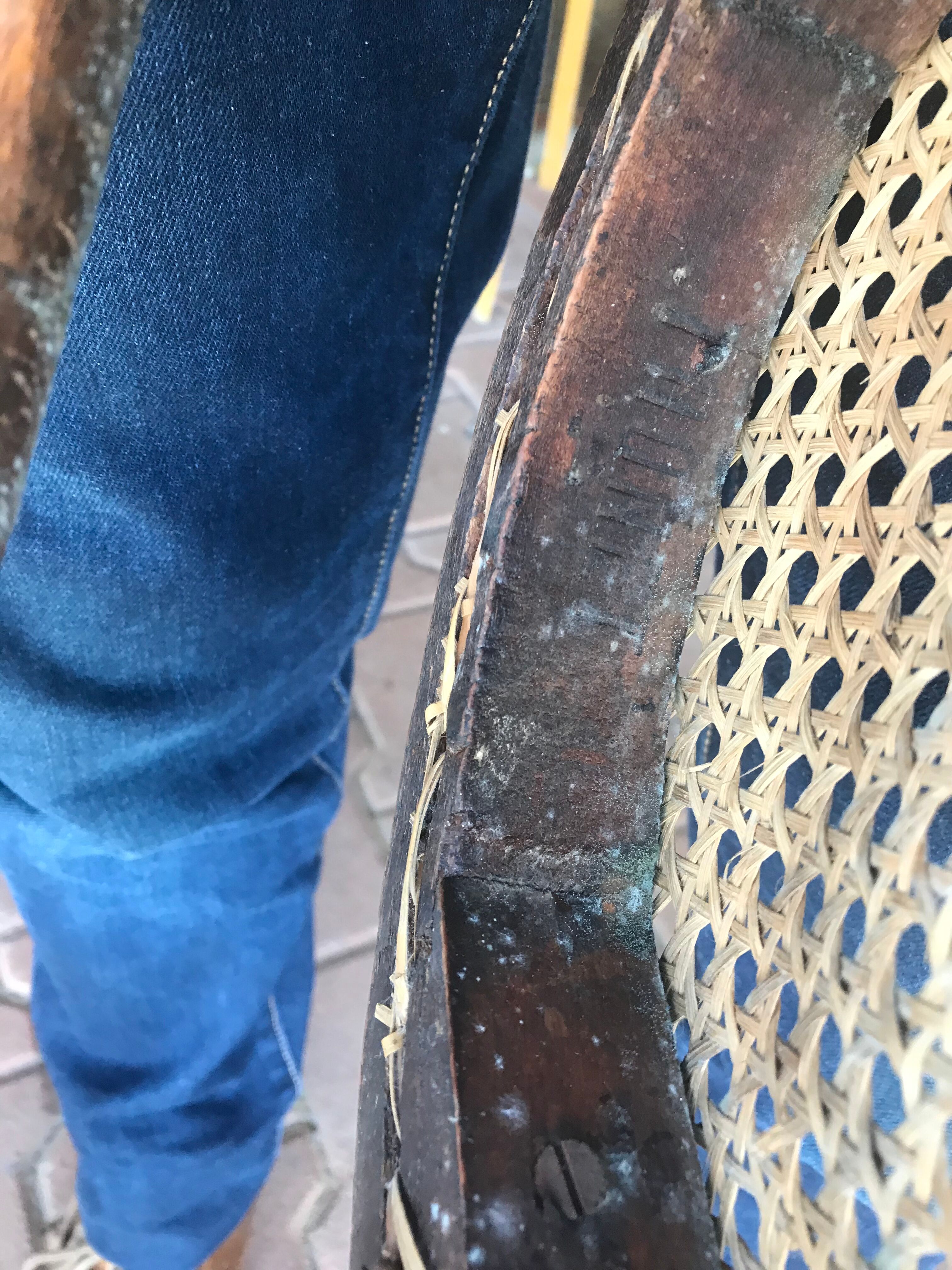 Chaise Thonet
