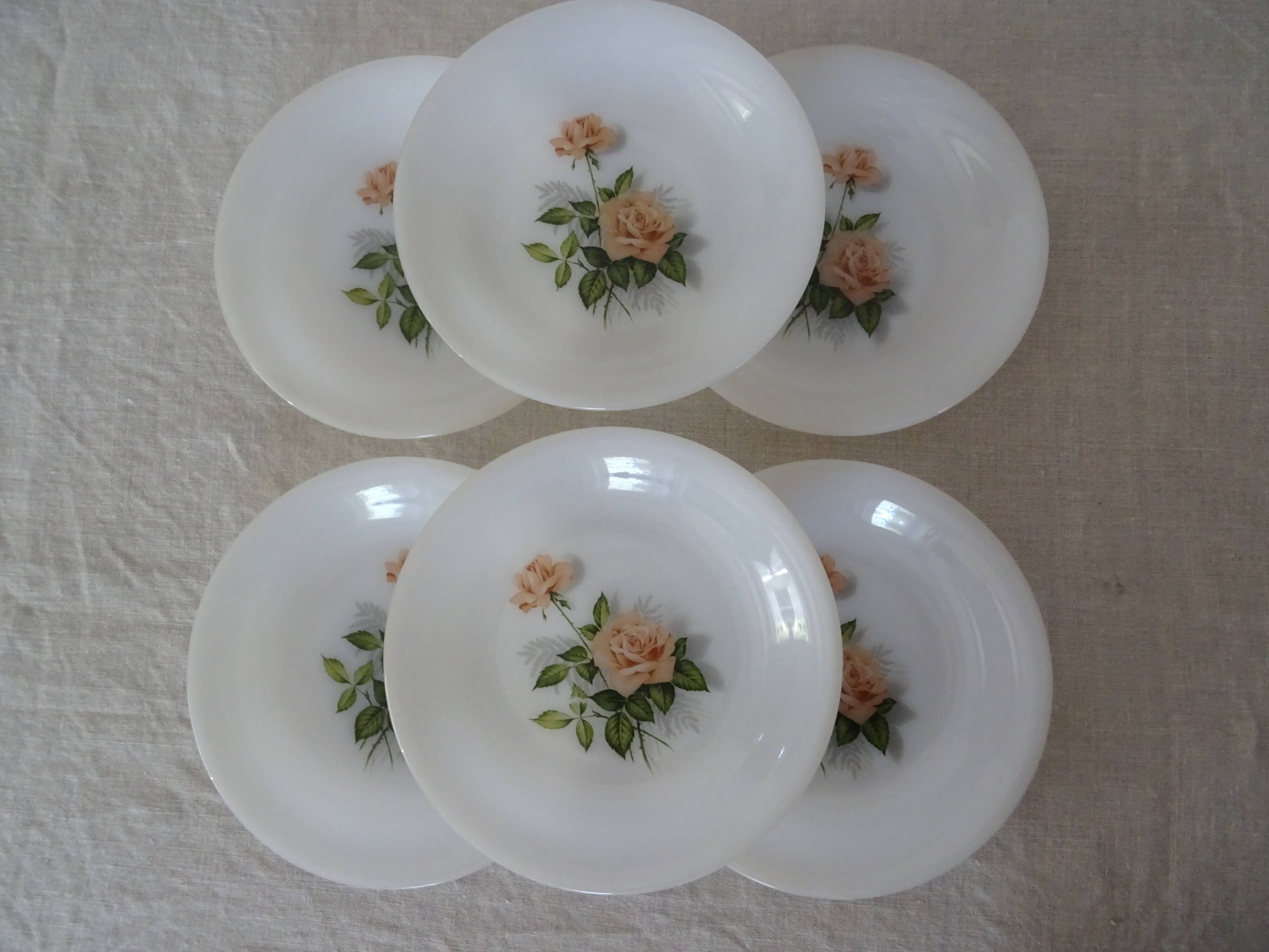 6 plates roses from France flowers hollow Arcopal