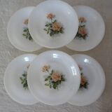 6 plates roses from France flowers hollow Arcopal