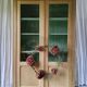 Antique school bookcase