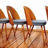 Set of five chairs, design. A. Suman, Tatra Nabytok, Czechoslovakia, 60s