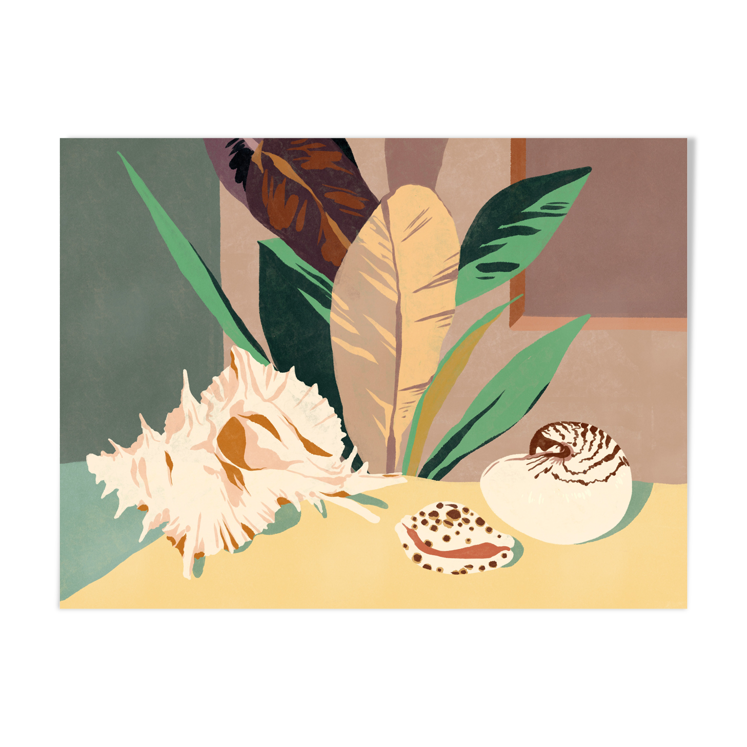 Terraqué, illustration