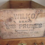 Old santa clara plum case