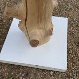 Coat rack driftwood