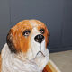 Life sized vintage glazed terracotta St Bernard dog sculpture, 1960s