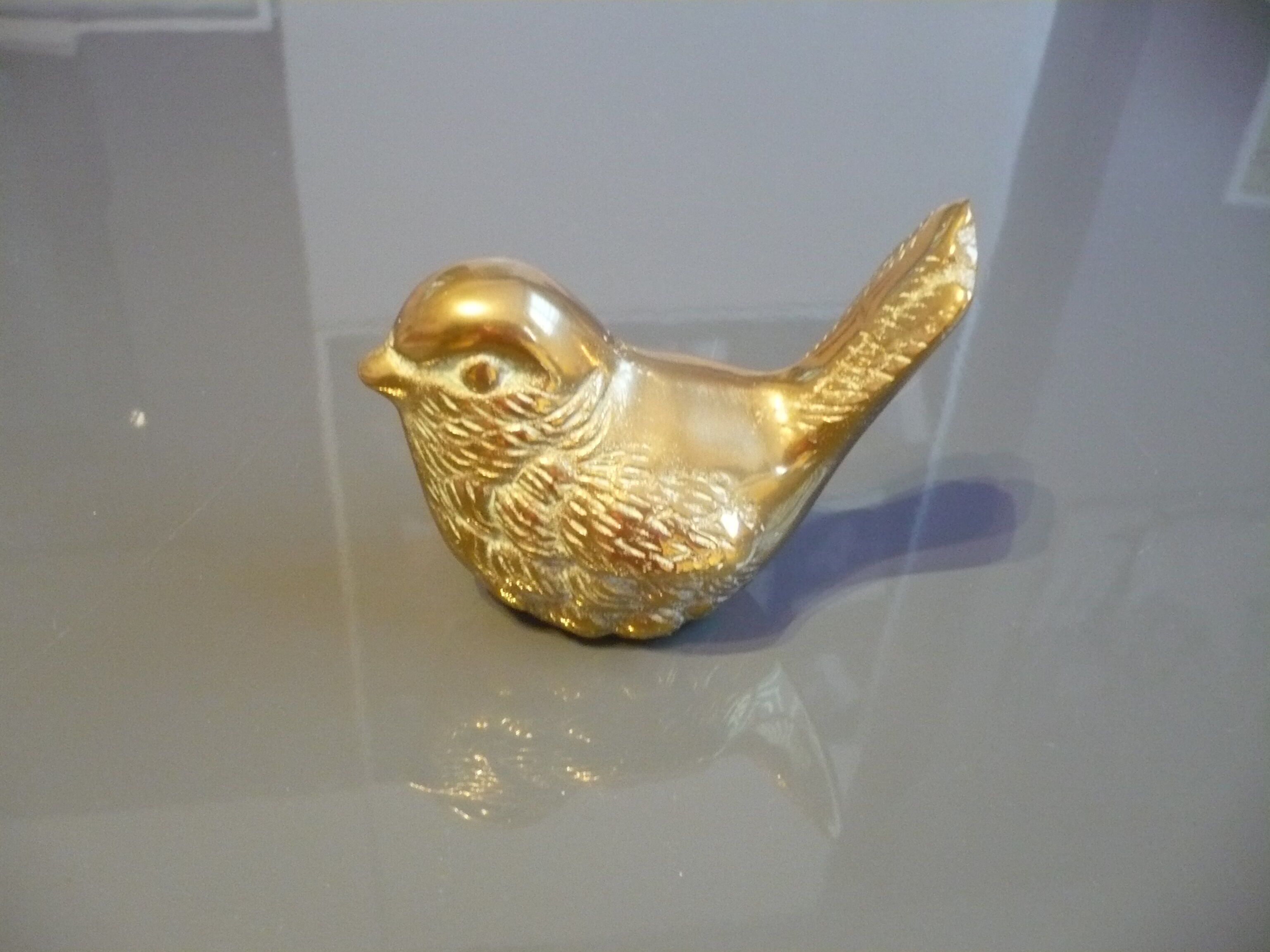 Brass sparrow