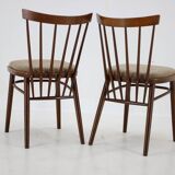 1960s Set of 4 Dining Chairs by Tatra, Czechoslovakia