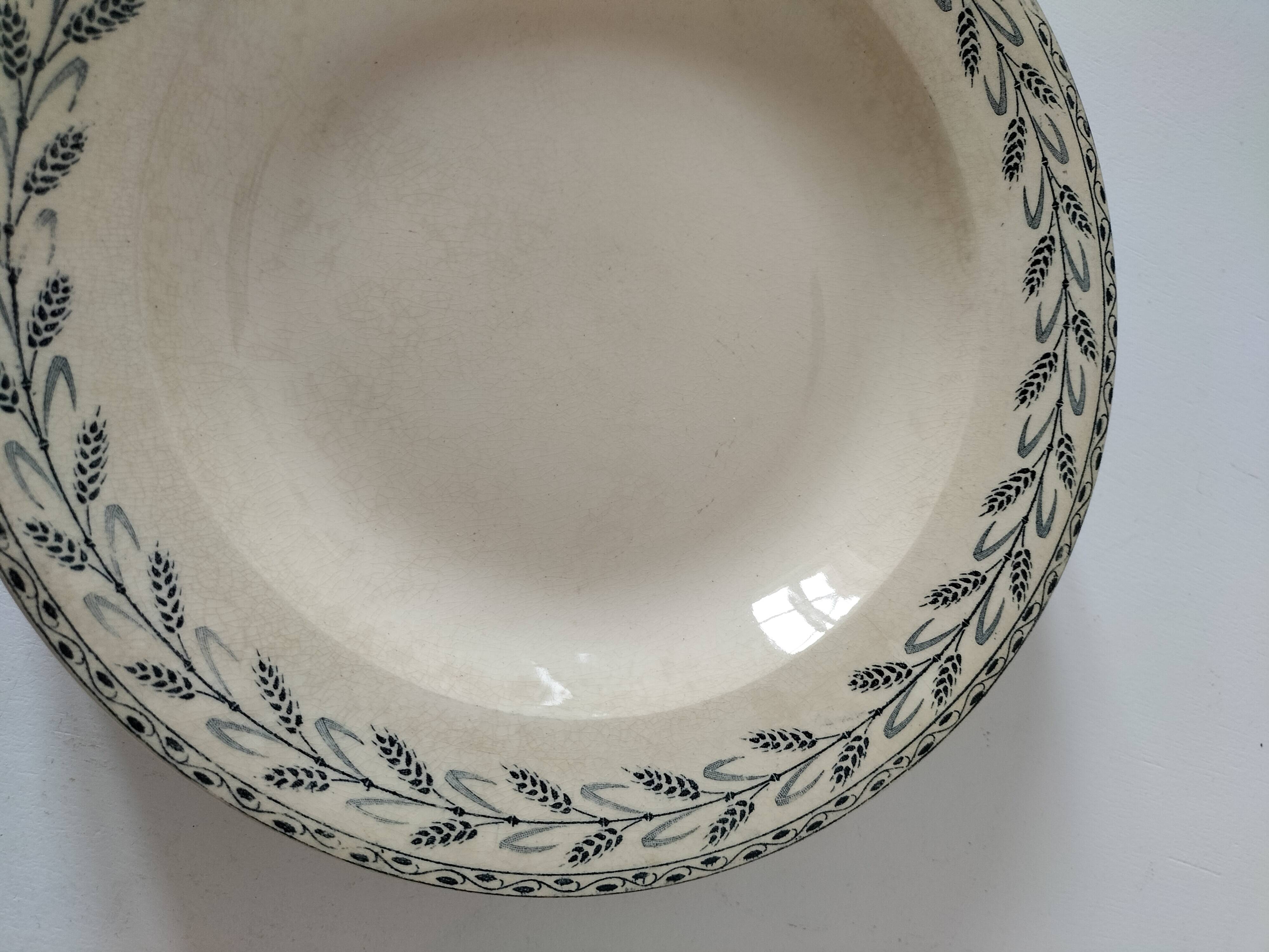 6 old E.C. Salins “Les Épis” ironstone soup plates