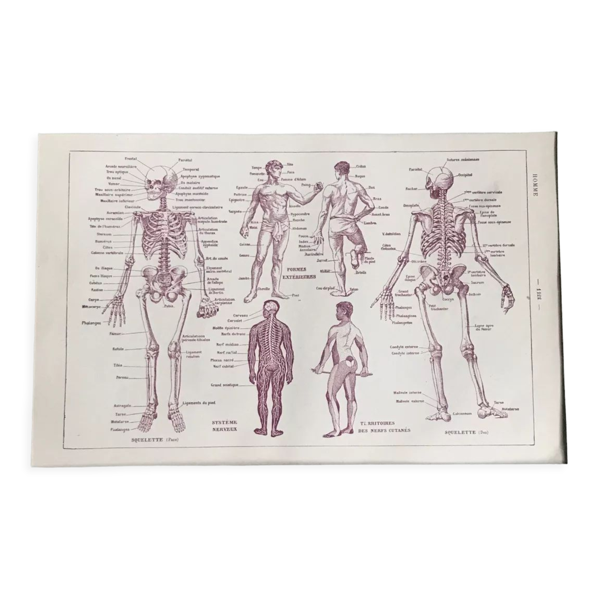 Original medicine board