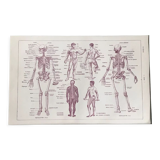 Original medicine board