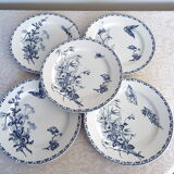 5 flat plates iron earth